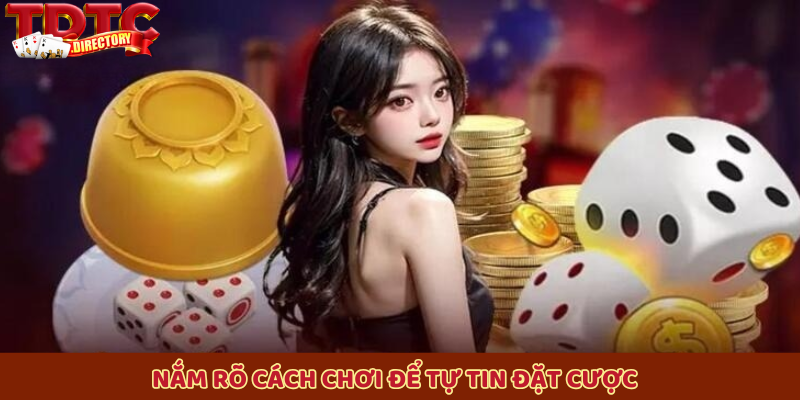 Nắm rõ cách chơi để tự tin đặt cược