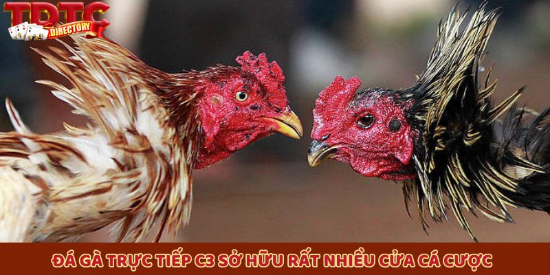 Đá gà trực tiếp C3 sở hữu rất nhiều cửa cá cược để quý hội viên tha hồ chọn lựa