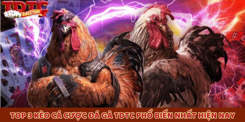 Top 3 kèo cá cược đá gà TDTC phổ biến nhất hiện nay